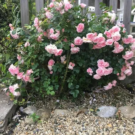 Giardino. Bilocale Grande A 800 M Dal Mare. 4 Posti Letto. * Sanremo