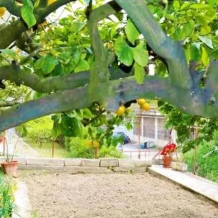 Giardino. Bilocale Grande A 800 M Dal Mare. 4 Posti Letto. Apartment *